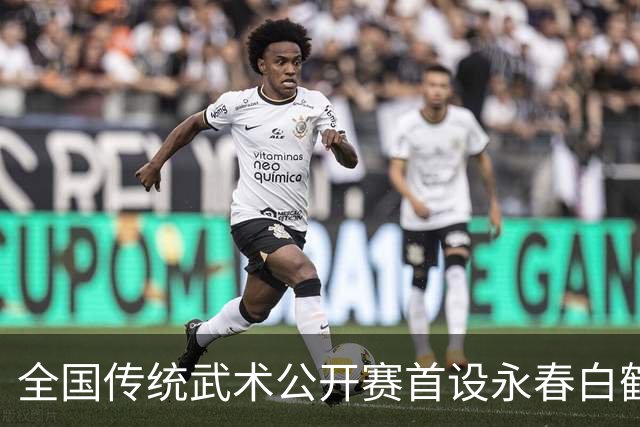 全国传统武术公开赛首设永春白鹤拳赛区 海内外选手以“拳”会友